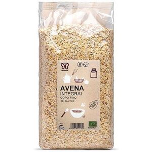 NATURCID Orgánico copos de avena mini sin gluten - 1 kg NATURCID Orgánico copos de avena mini sin gluten - 1 kg