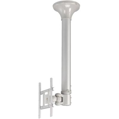 Soporte de Techo para Pantalla Plana (40") Plata - NEWSTAR Soporte de Techo para Pantalla Plana (40") Plata - NEWSTAR