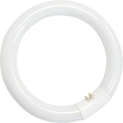 GSC Evolution Lámpara fluorescente circular 32W Ø305mm GSC Evolution Lámpara fluorescente circular 32W Ø305mm