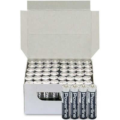 Emb. 48x Pilas Alcalinas Industriales 1.5V LR03 AAA - PANASONIC Emb. 48x Pilas Alcalinas Industriales 1.5V LR03 AAA - PANASONIC