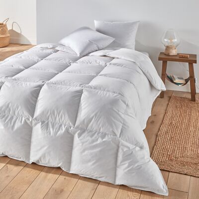 Edredón de Plumas La Redoute Intérieurs - Relleno de Pato Natural - Ligero y Cálido Edredón de Plumas La Redoute Intérieurs - Relleno de Pato Natural - Ligero y Cálido