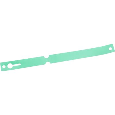 Eichner Llaveros cinta para identificación, película de HDPE verde Eichner Llaveros cinta para identificación, película de HDPE verde