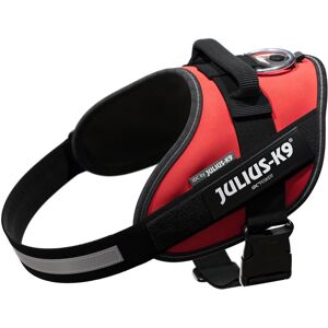 Arnés Julius-K9 IDC® Power rojo para perros - M: Contorno de pecho 58 - 76 cm Arnés Julius-K9 IDC® Power rojo para perros - M: Contorno de pecho 58 - 76 cm