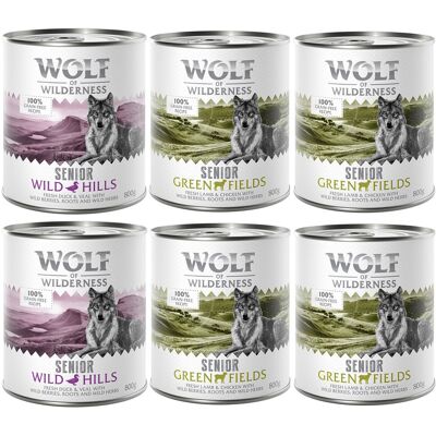 Wolf of Wilderness Senior - Comida para perros sin cereales - 66% carne Wolf of Wilderness Senior - Comida para perros sin cereales - 66% carne