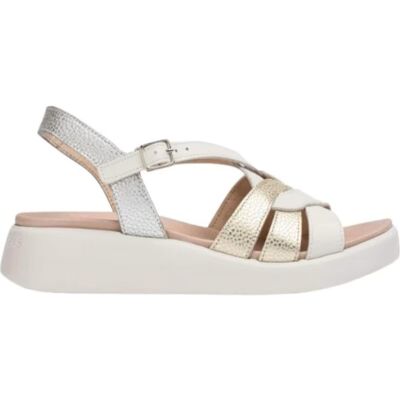 WONDERS Sandalias De Mujer Sandalia Paterna C-6530 Platino Beig-Oro-Plata Talla 36 WONDERS Sandalias De Mujer Sandalia Paterna C-6530 Platino Beig-Oro-Plata Talla 36