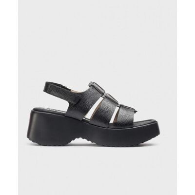 WONDERS Sandalias De Plataforma Nora 225-D-9724-Ne Negro Talla 40 WONDERS Sandalias De Plataforma Nora 225-D-9724-Ne Negro Talla 40