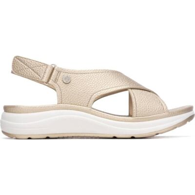 XTI Sandalia 145172 Con Tiras Cruzadas Oro Talla 37 XTI Sandalia 145172 Con Tiras Cruzadas Oro Talla 37