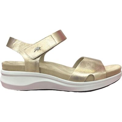 FLUCHOS F1475 Laminado Cava Oro Talla 37 FLUCHOS F1475 Laminado Cava Oro Talla 37