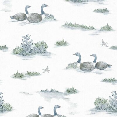 YBARRA Papel pintado Mallard Duck de la colección Cotswolds & Serret. Agua YBARRA Papel pintado Mallard Duck de la colección Cotswolds & Serret. Agua