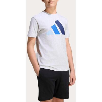 Adidas Camiseta de niños Essentials . (12 años) Gris Adidas Camiseta de niños Essentials . (12 años) Gris
