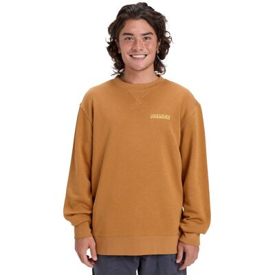 Quiksilver Sudadera de hombre Salt Water Graphic . Marrón Quiksilver Sudadera de hombre Salt Water Graphic . Marrón