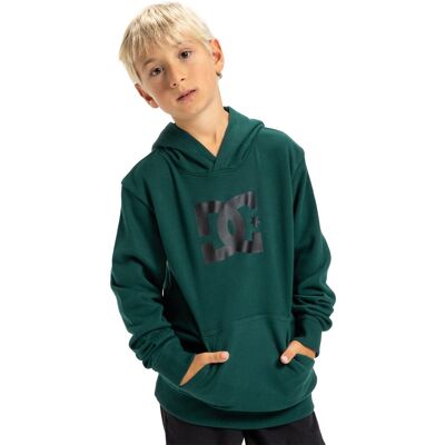 DC Shoes Sudadera de niños DC Star . (10 años) Verde DC Shoes Sudadera de niños DC Star . (10 años) Verde