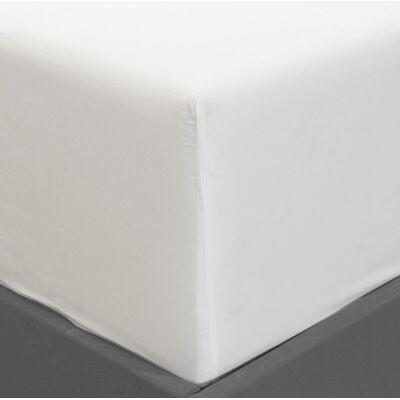 Bassols Sábana bajera ajustable algodón egipcio 200 hilos Tacto . (Cama 90 cm) Blanco Bassols Sábana bajera ajustable algodón egipcio 200 hilos Tacto . (Cama 90 cm) Blanco