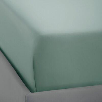 Bassols Sábana bajera algodón 400 hilos Prince . (Cama 150 cm) Verde Bassols Sábana bajera algodón 400 hilos Prince . (Cama 150 cm) Verde