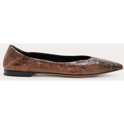 Pomme D'or Bailarinas animal print de piel. (37) Marrón Pomme D'or Bailarinas animal print de piel. (37) Marrón