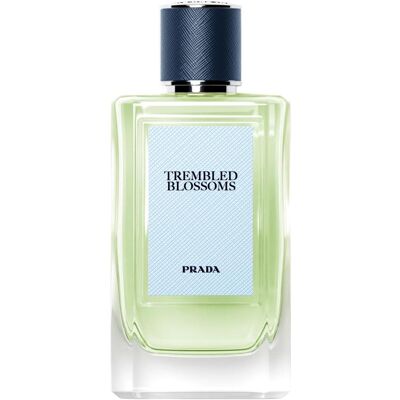 Prada Trembled Blossoms Eau de Parfum Spray 100 Ml. (100 ml) Prada Trembled Blossoms Eau de Parfum Spray 100 Ml. (100 ml)