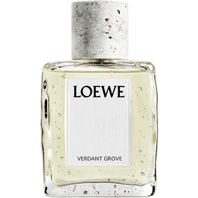 Loewe Verdant Grove Eau de Parfum 100 Ml. Loewe Verdant Grove Eau de Parfum 100 Ml.