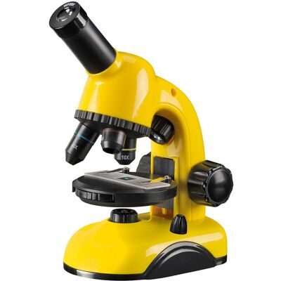 National Geographic Microscopio de luz transmitida y luz incidente , iluminación LED, para Biología, Educación, Entomología, Mone. Amarillo National Geographic Microscopio de luz transmitida y luz incidente , iluminación LED, para Biología, Educación, Entomología, Mone. Amarillo