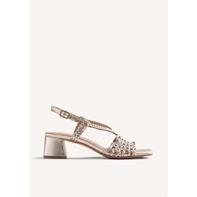 Sandalias De Tacón Bloque Gioseppo Blissfield 79234-P Dorado 41 Mujer Sandalias De Tacón Bloque Gioseppo Blissfield 79234-P Dorado 41 Mujer