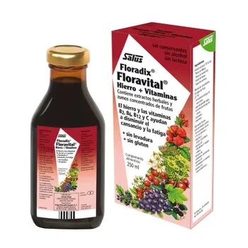 Salus FLORADIX FLORAVITAL JARABE 250ml