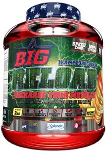 Big RELOAD AMILOPECTINA 2 Kg Fresh