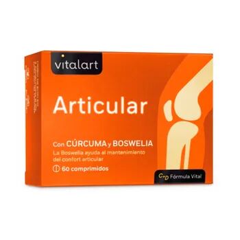 Vitalart Articular 60 Tabs