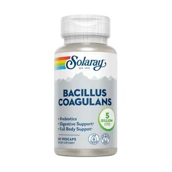 Solaray Bacillus Coagulans 60 VCaps
