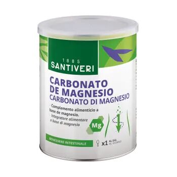 Santiveri CARBONATO DE MAGNESIO 110g