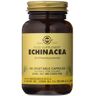 Solgar ECHINACEA 100 VCaps