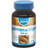 Dietmed Germen De Trigo 1000 mg 90 Perlas