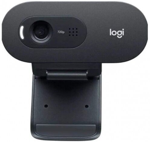 Webcam Logitech C505E