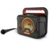 Motorola Sonic Maxx 810 Portable splashproof karaoke party