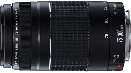 Canon EF 75-300mm f/4-5.6 III