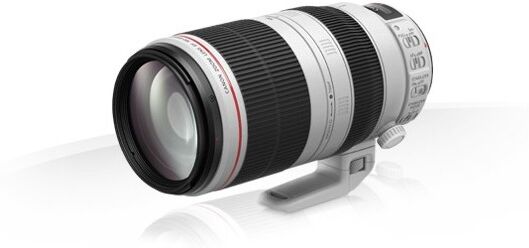 Canon EF 100-400mm f/4.5-5.6L IS II USM