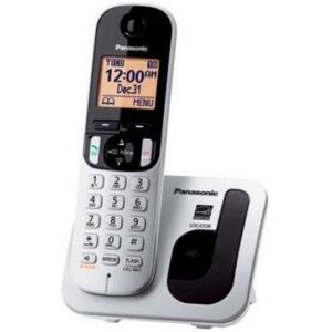 Teléfono inalámbrico digital Panasonic KX-TGC210 Gris