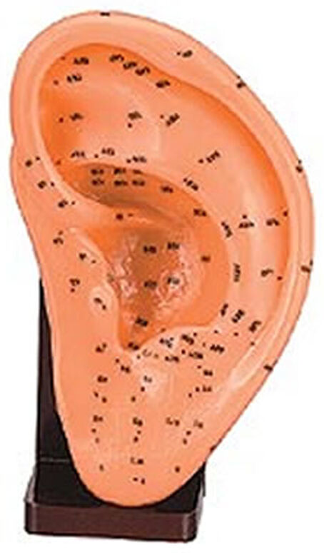 Oreja Izquierda de Caucho Blando 17 cm Oreja Izquierda de Caucho Blando 17 cm