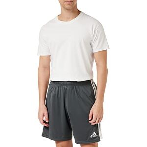Adidas TASTIGO19 SHO Pantalones Cortos de Deporte, Hombre, DGH Solid Grey/White, L
