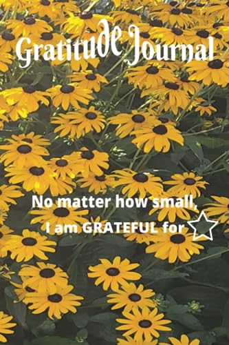 Douglas, Rochelle Your Daily Gratitude Journal: Be grateful for all, whether big or small.