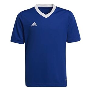 Adidas ENT22 JSY Y T-Shirt, Team Royal Blue, 5-6A Unisex Kids