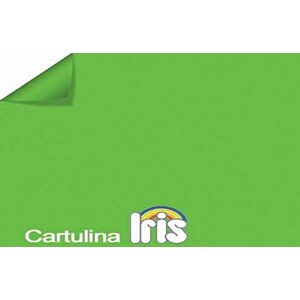 IRIS Cartolina A3 (29.7X42) Verd Billar IRIS Cartolina A3 (29.7X42) Verd Billar