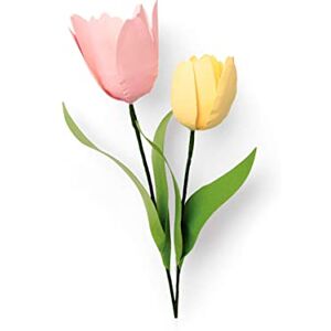 Sizzix Set de Troqueles Thinlits 8 pzas Tulipán by Jennifer Ogborn, Plástico Papel, Multicolor, Talla única Sizzix Set de Troqueles Thinlits 8 pzas Tulipán by Jennifer Ogborn, Plástico Papel, Multicolor, Talla única