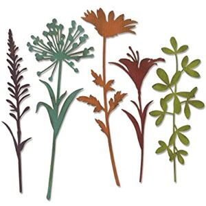 Sizzix Thinlits Troqueles 5PK Tallos de flores silvestres #2 Sizzix Thinlits Troqueles 5PK Tallos de flores silvestres #2