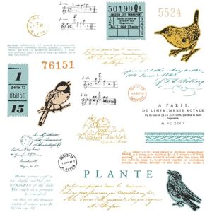 Sizzix Sellos transparentes A5 con Framelits Die Bird Song by 49 and Market Sizzix Sellos transparentes A5 con Framelits Die Bird Song by 49 and Market