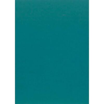Clairefontaine Paquete Papel Maya 25 Hojas Papel de Dibujo Liso Azul Canard A2 42x59,4 cm 270g Ideal para el Dibujo y las Actividades Creativas Clairefontaine Paquete Papel Maya 25 Hojas Papel de Dibujo Liso Azul Canard A2 42x59,4 cm 270g Ideal para el Dibujo y las Actividades Creativas