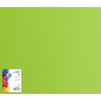Oxford Cartón de dibujo de 50 x 70 cm/cartón para manualidades, DIN B2, cartón B2, papel para manualidades, 225 g/m², cartón Bristol, 25 hojas, color verde claro, 25 unidades Oxford Cartón de dibujo de 50 x 70 cm/cartón para manualidades, DIN B2, cartón B2, papel para manualidades, 225 g/m², cartón Bristol, 25 hojas, color verde claro, 25 unidades