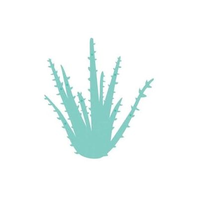 Kaisercraft PTY LTD (3PL) -Troquel, Aloe, talla única Kaisercraft PTY LTD (3PL) -Troquel, Aloe, talla única