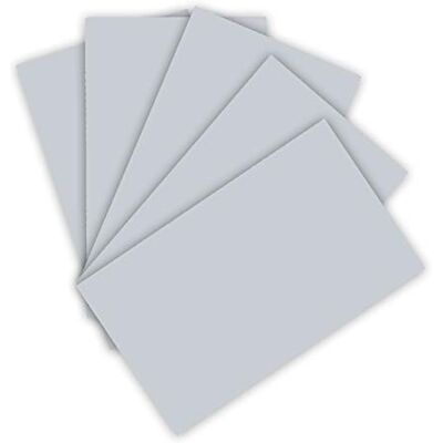 Folia Cartulina de color 220 g/m², cartón para manualidades en color gris claro, DIN A4, 100 hojas, como base para muchos trabajos de manualidades Folia Cartulina de color 220 g/m², cartón para manualidades en color gris claro, DIN A4, 100 hojas, como base para muchos trabajos de manualidades