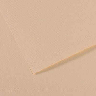 Canson Mi-Teintes Papel de Color de Pulpa Teñida, 160 g/m2, Beige (Eggshell 112), 21x29,12, Pack de 25 Canson Mi-Teintes Papel de Color de Pulpa Teñida, 160 g/m2, Beige (Eggshell 112), 21x29,12, Pack de 25