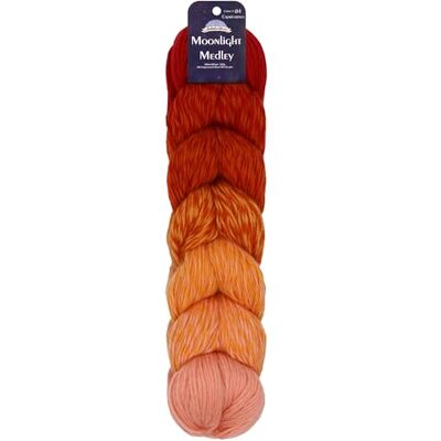 BambooMN JubileeYarn Moonlight Medley Ovillo de lana merina/acrílico de peso Ombre DK 200 g/Hank Aries 1 madeja BambooMN JubileeYarn Moonlight Medley Ovillo de lana merina/acrílico de peso Ombre DK 200 g/Hank Aries 1 madeja