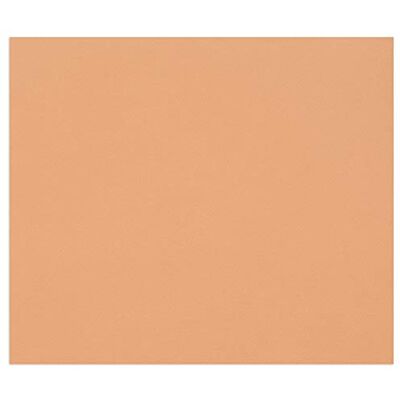 Clairefontaine 960489 C tulipán paquete de 100 hojas 160 g 21 x 29,7 cm Rouille Clairefontaine 960489 C tulipán paquete de 100 hojas 160 g 21 x 29,7 cm Rouille